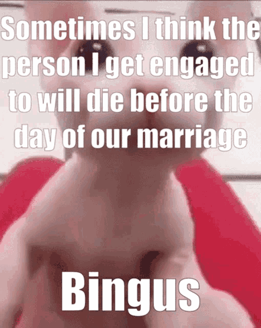 Bingus Binguscord GIF