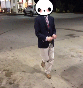 Bip Based Internet Panda GIF