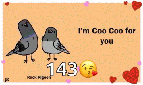 Bird Birds GIF