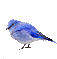 Bird Blue Bird Sticker