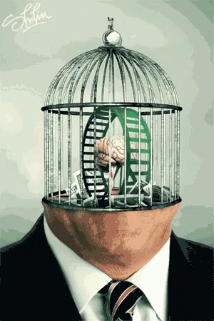 Bird Cage Back To Work GIF