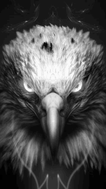 Bird Dark GIF