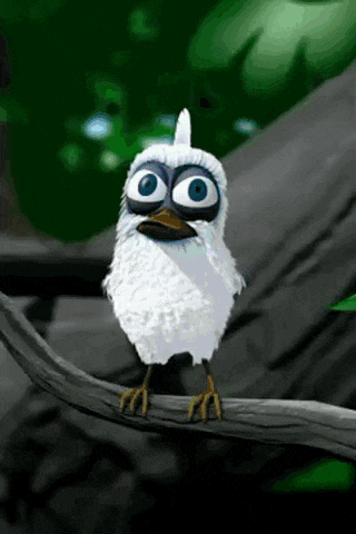 Bird Exploding GIF