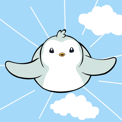 Bird Fly GIF