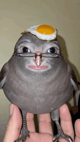 Bird Jon Mud GIF. This 281 x 498 animated GIF is part of our funny pigeon collection. Related themes include bird. Created by i_ate_2_catz_once_232. View…