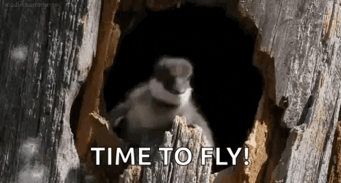 Bird Jump GIF