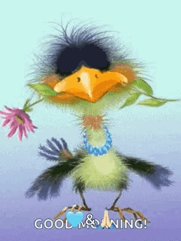 Bird GIF