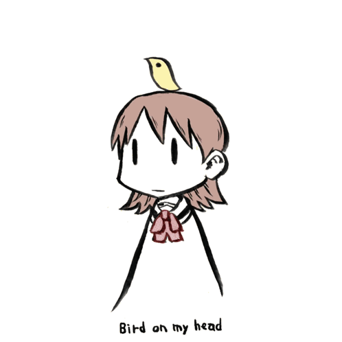 Bird On My Head Explosion GIF