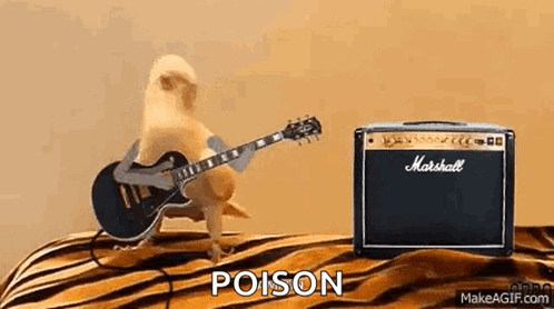 Bird Poison Talk Dirty To Me Talk Birdy To Me GIF