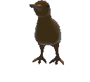 Bird Spin Sticker