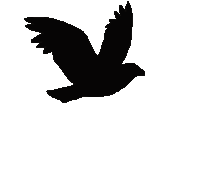 Bird Sticker