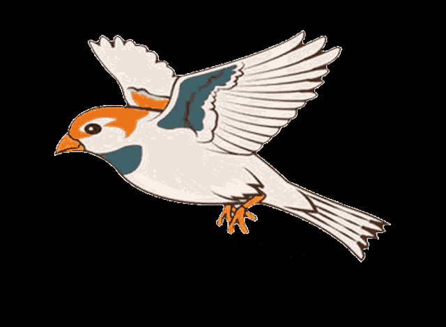 Birdikigai Birds GIF
