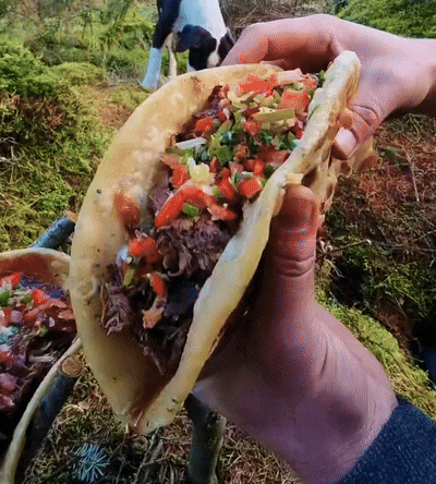 Birria Taco Mexican Food GIF