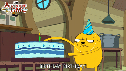 Birthday Birthday Finn The Human GIF