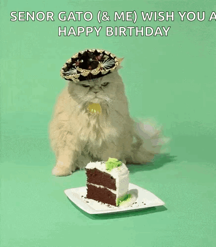 Birthday Cake Birthday Cat GIF