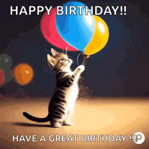 Birthday Cat Birthday GIF