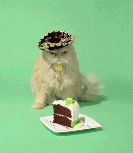 Birthday Cat Cake GIF. This 434 x 498 animated GIF is part of our geburtstag katzen collection. Related themes include angry, cake. Created by irev. View…