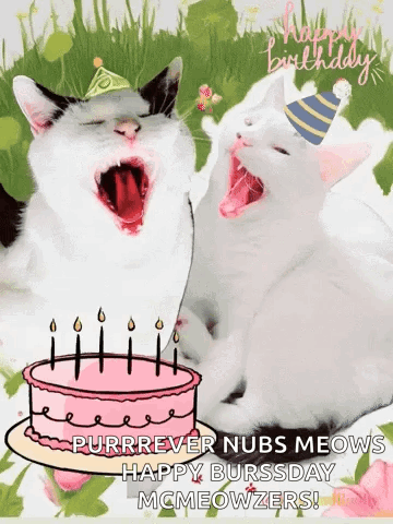 Birthday Cats GIF