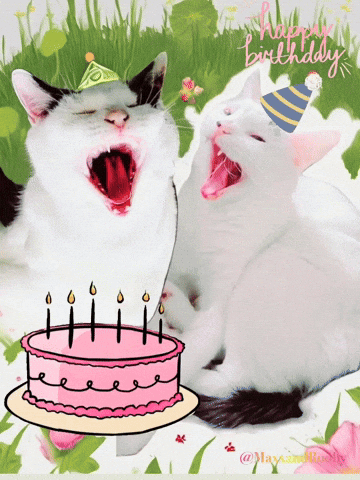 Birthday Cats GIF