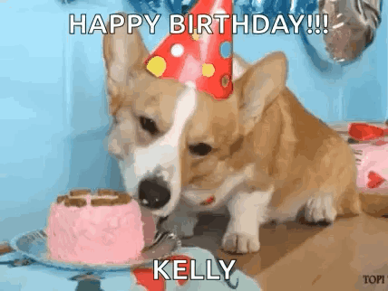 Birthday Corgi GIF