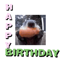 Birthday Geburtstag Sticker