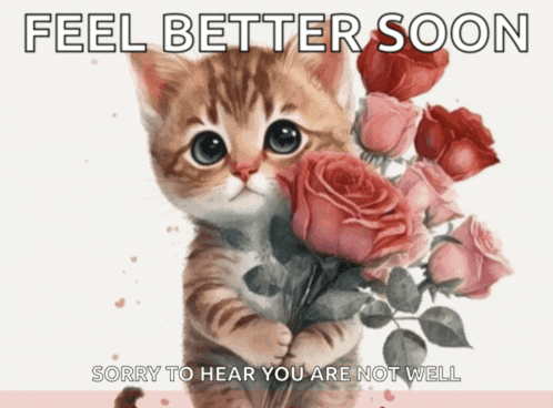 Birthday Get Well Soon Meme