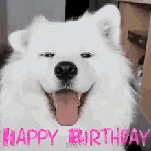 Birthday Girl Happy Birthday GIF