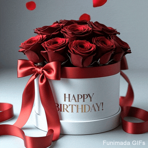 Birthday Happy Birthday GIF