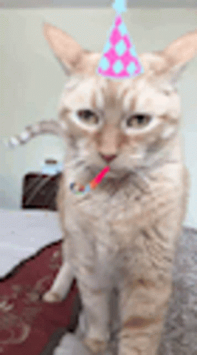 Birthday Happy GIF. This 277 x 498 animated GIF is part of our serpentinas y confeti collection. Related themes include birthday, cat, celebrate. Created by…