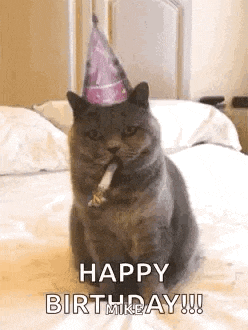Birthday Happybirthday GIF