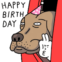 Birthday Party Hbd Sticker