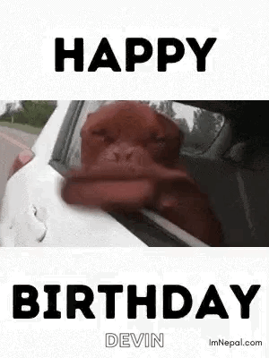 Birthday Wishes Birthday For Dog Lovers GIF. This 300 x 400 animated GIF is part of our my birthday month collection. Related themes include birthday…