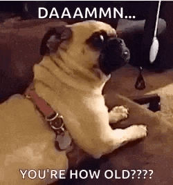 Birthday Wishes GIF