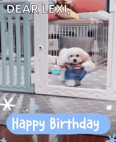Birthday Wishes GIF