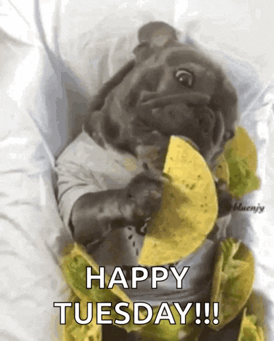 Bishop Chilling GIF
