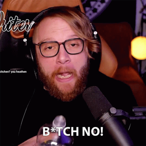 Bitch No Tiger Writer GIF