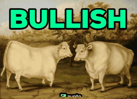 Bitcoin Bull GIF
