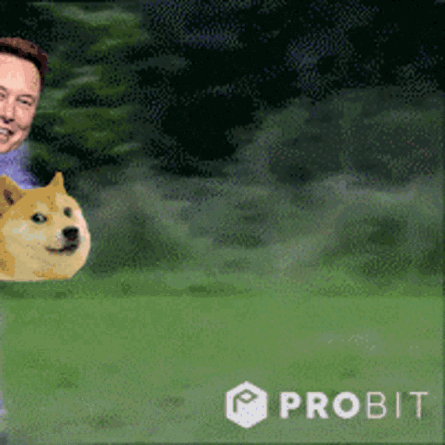 Bitcoin Crypto GIF