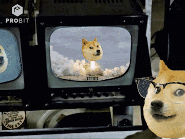 Bitcoin Crypto GIF