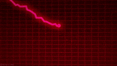 Bitcoin Crypto GIF