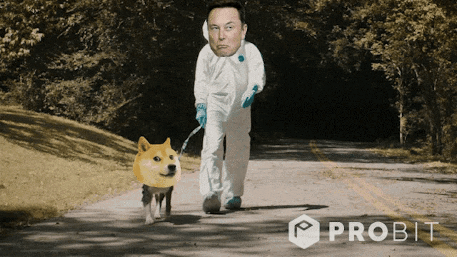 Bitcoin Ethereum GIF
