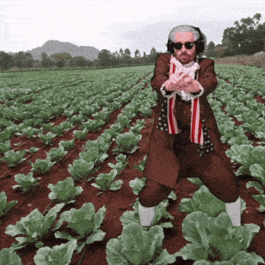 Bitcoin Nova Xstaci GIF