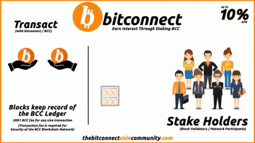 Bitconnect Coin Fud GIF