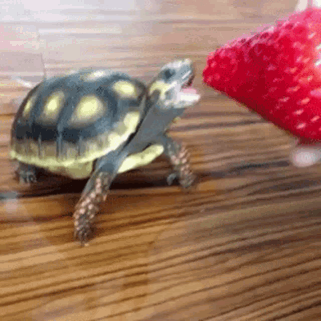 Biting GIF
