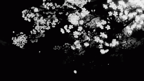Black And White Aesthetic GIF