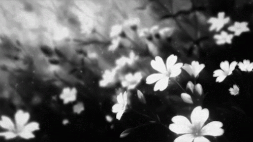 Black And White Anime GIF
