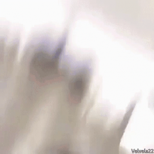 Black Boy Edition Black Guy GIF