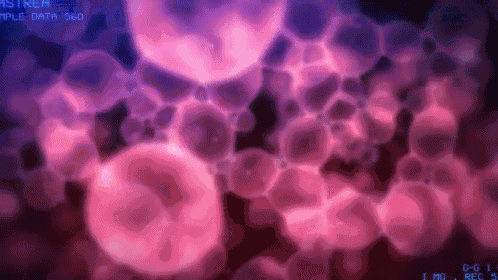 Black Bullet GIF