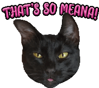 Black Cat Blep Black Cat Funny Sticker