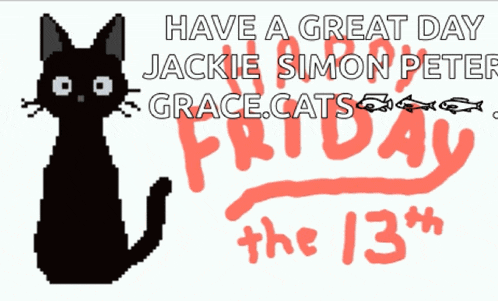 Black Cat Cat GIF